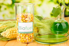Lyndon Green biofuel availability
